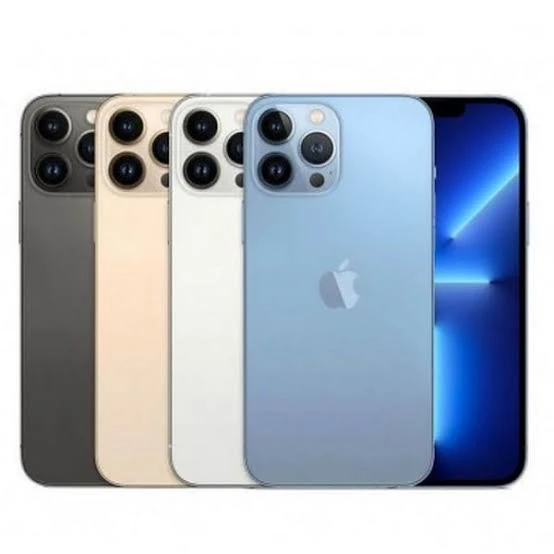 Téléphone iPhone 13 promax 256Go