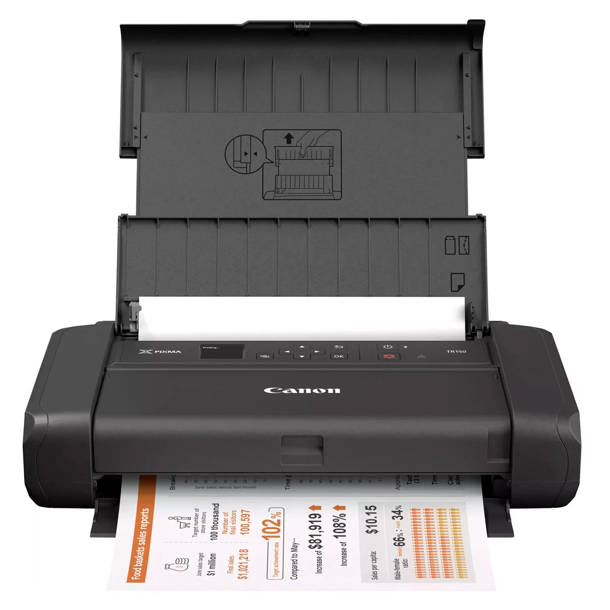 Imprimante Epson multifonction pixma TR150