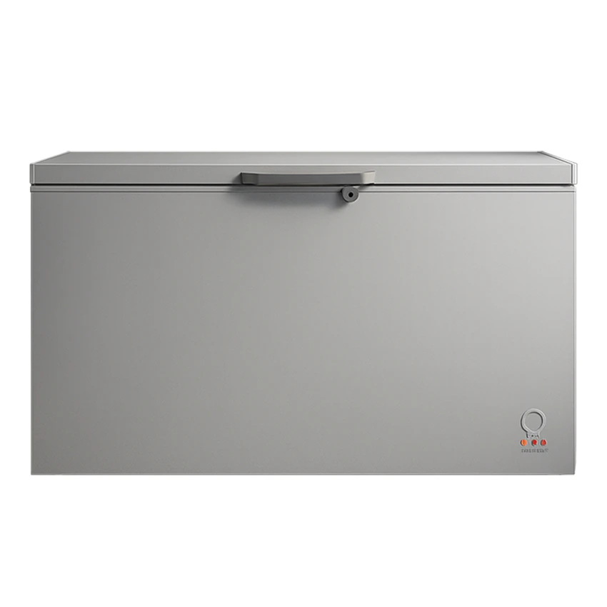 Congélateur Hisense horizontal 500litres gris FC55DD4SA