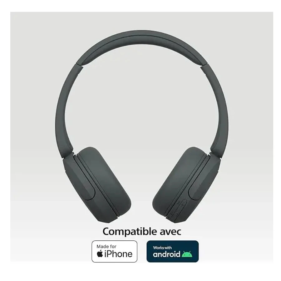 Casque sans fil et écouteurs Sony WHCH520
